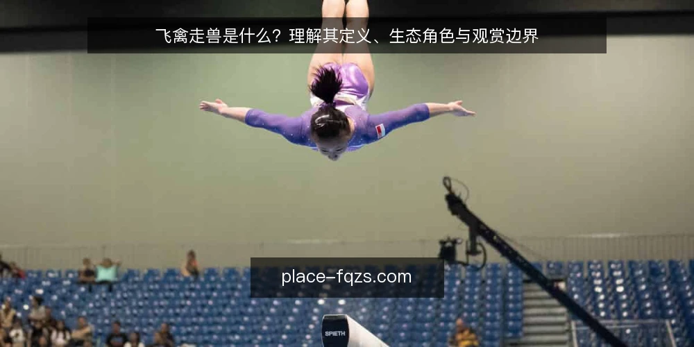 飞禽走兽是什么？理解其定义、生态角色与观赏边界 — 飞禽走兽的定义与范畴 配图