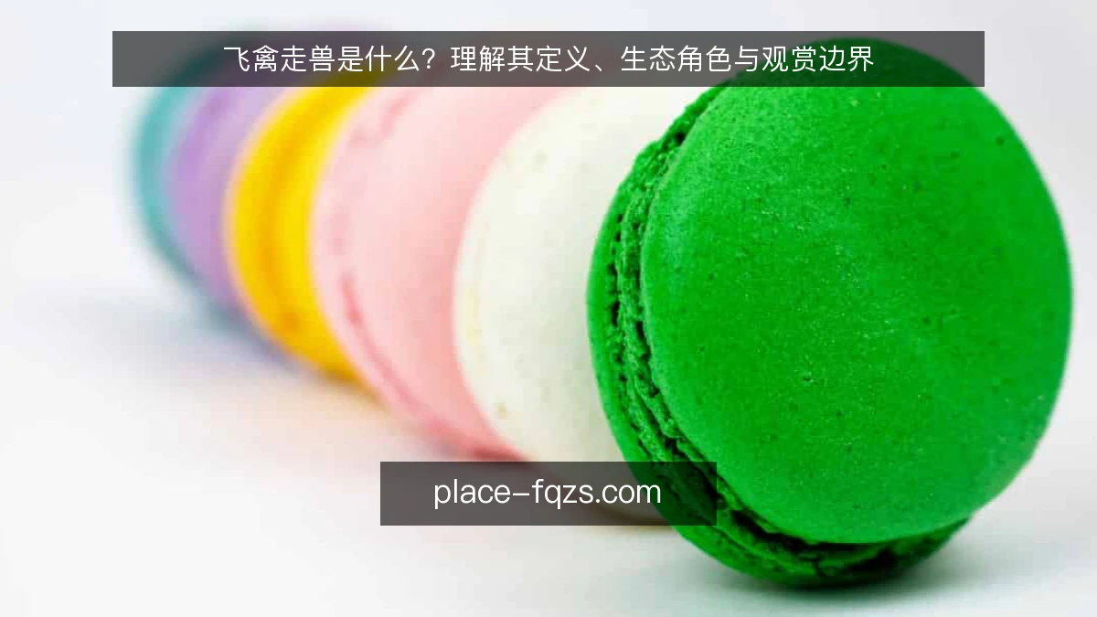 飞禽走兽是什么？理解其定义、生态角色与观赏边界