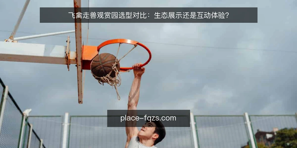 飞禽走兽观赏园选型对比：生态展示还是互动体验？ — 明确需求：观赏园的核心目标是什么？ 配图