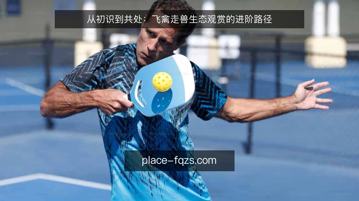 从初识到共处：飞禽走兽生态观赏的进阶路径