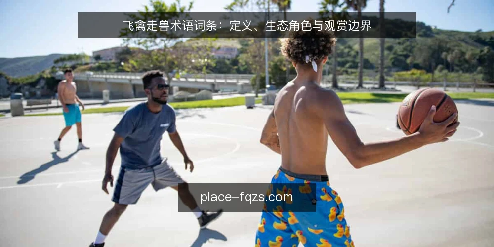 飞禽走兽术语词条：定义、生态角色与观赏边界 — 飞禽走兽：术语定义与涵盖范围 配图