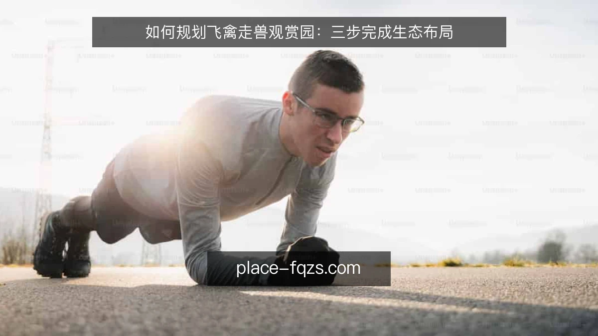 如何规划飞禽走兽观赏园：三步完成生态布局
