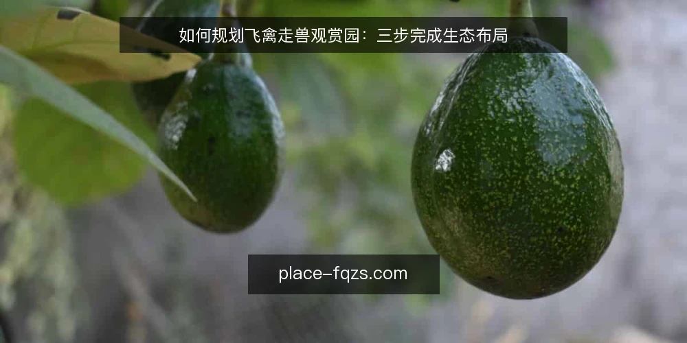 如何规划飞禽走兽观赏园：三步完成生态布局 — 准备：明确观赏园定位与场地条件 配图