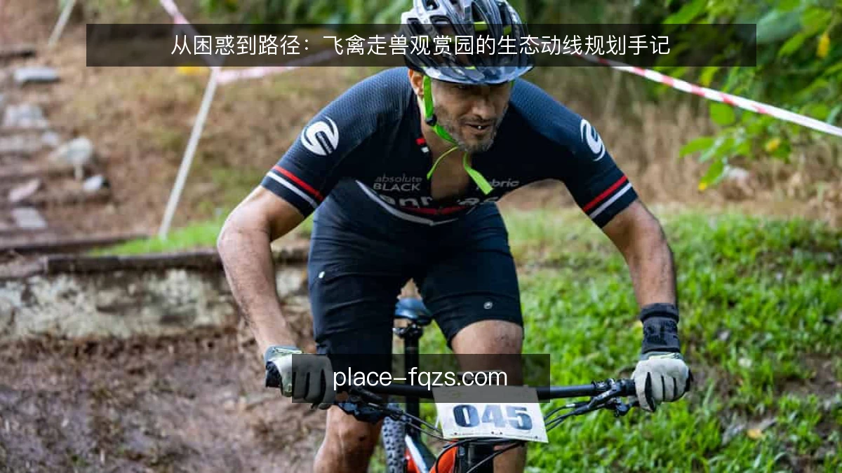 从困惑到路径：飞禽走兽观赏园的生态动线规划手记