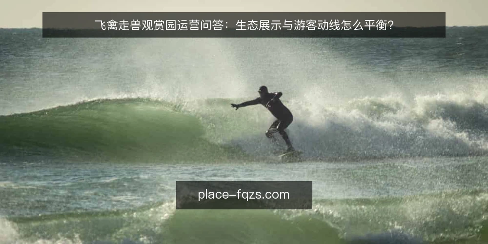飞禽走兽观赏园运营问答：生态展示与游客动线怎么平衡？ — 为什么现在要审计飞禽走兽观赏园的动线与生态展示？ 配图