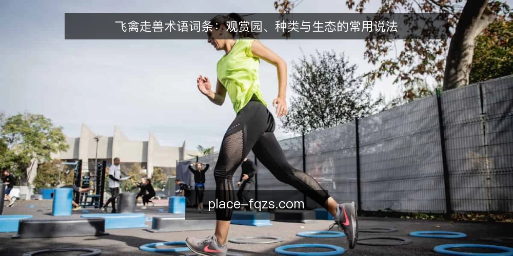 飞禽走兽术语词条：观赏园、种类与生态的常用说法 — 先厘清几个高频术语的使用场景 配图