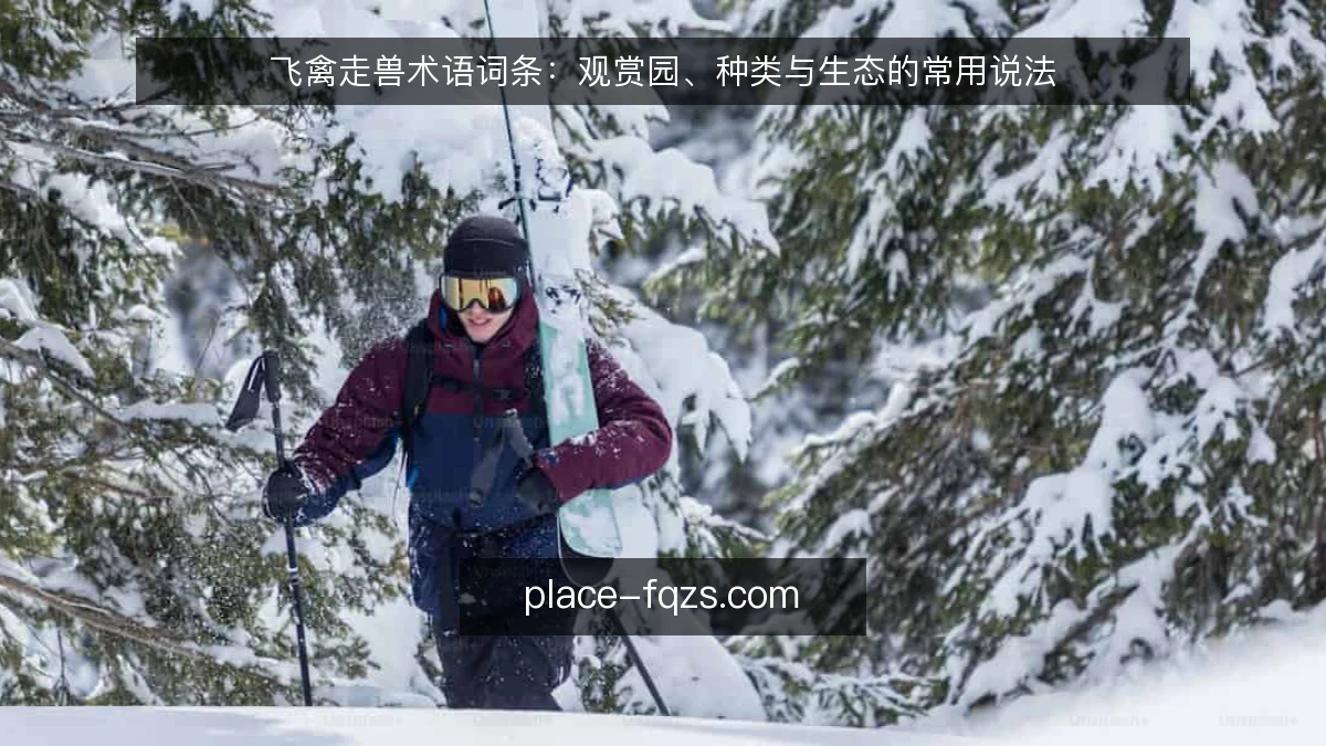 飞禽走兽术语词条：观赏园、种类与生态的常用说法