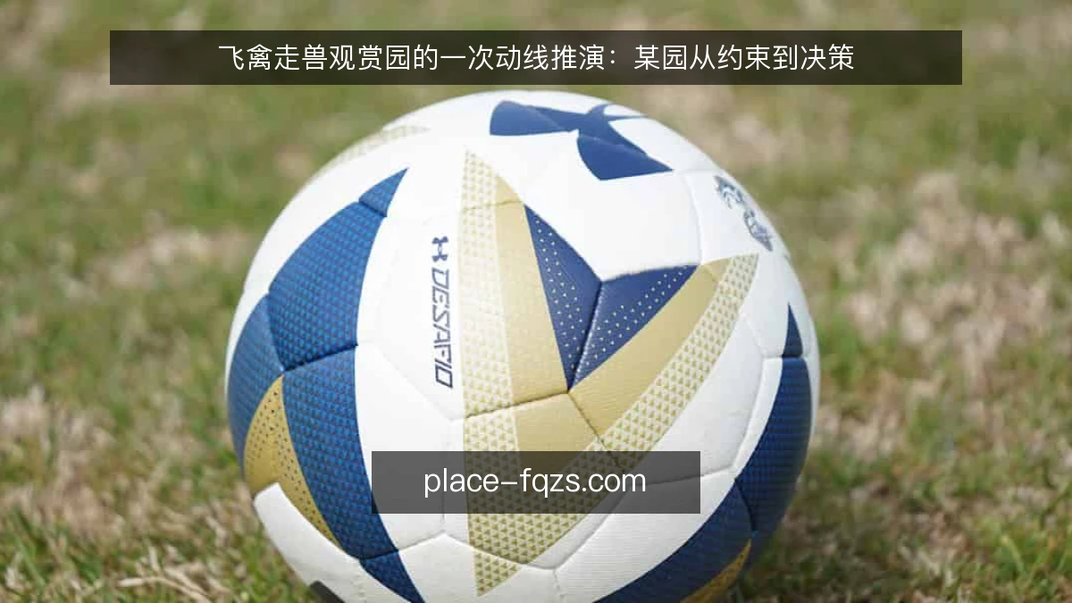 飞禽走兽观赏园的一次动线推演：某园从约束到决策