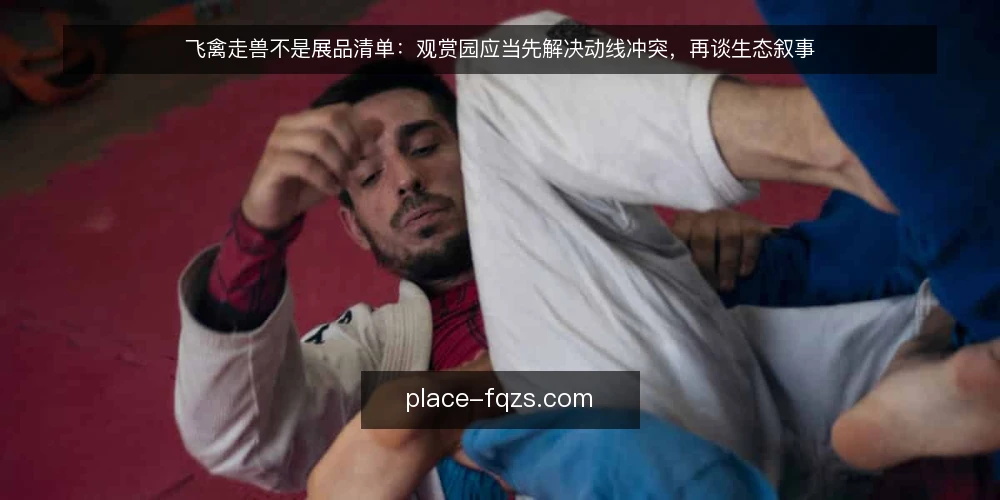 飞禽走兽不是展品清单:观赏园应当先解决动线冲突,再谈生态叙事 — 观赏园的真实痛点:动线冲突先于生态叙事 配图