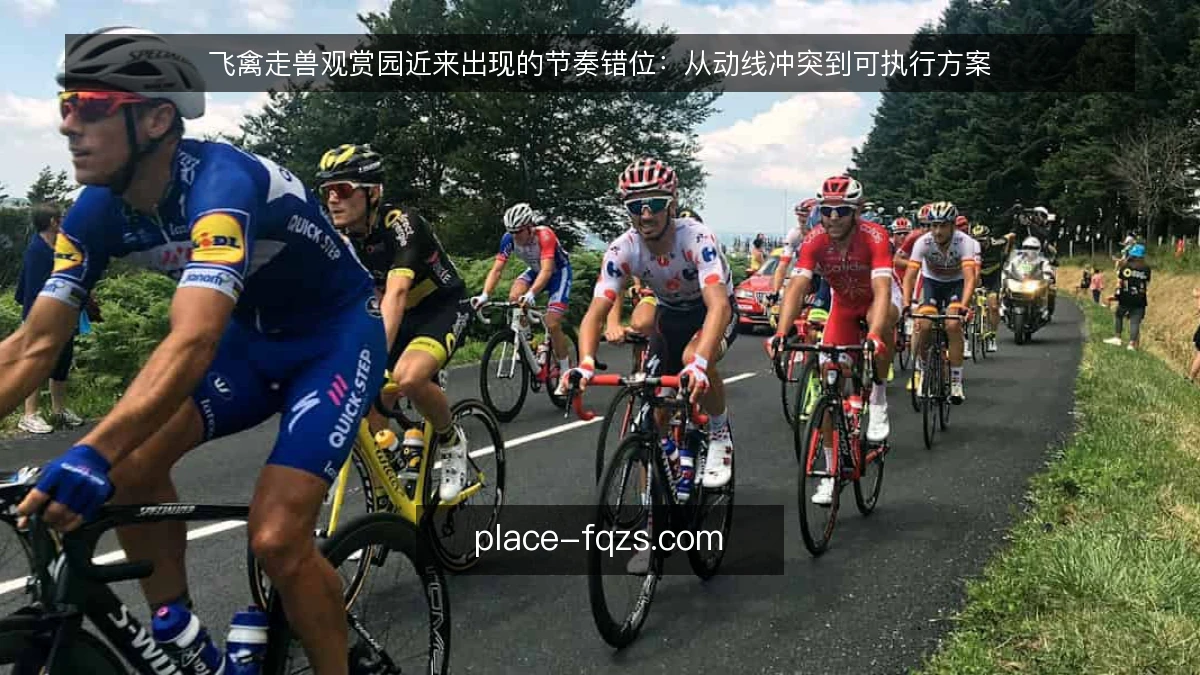 飞禽走兽观赏园近来出现的节奏错位：从动线冲突到可执行方案