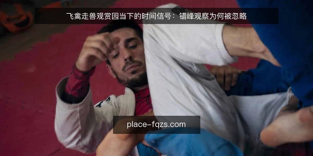 飞禽走兽观赏园当下的时间信号:错峰观察为何被忽略 — 眼下观赏园的时间错位 配图