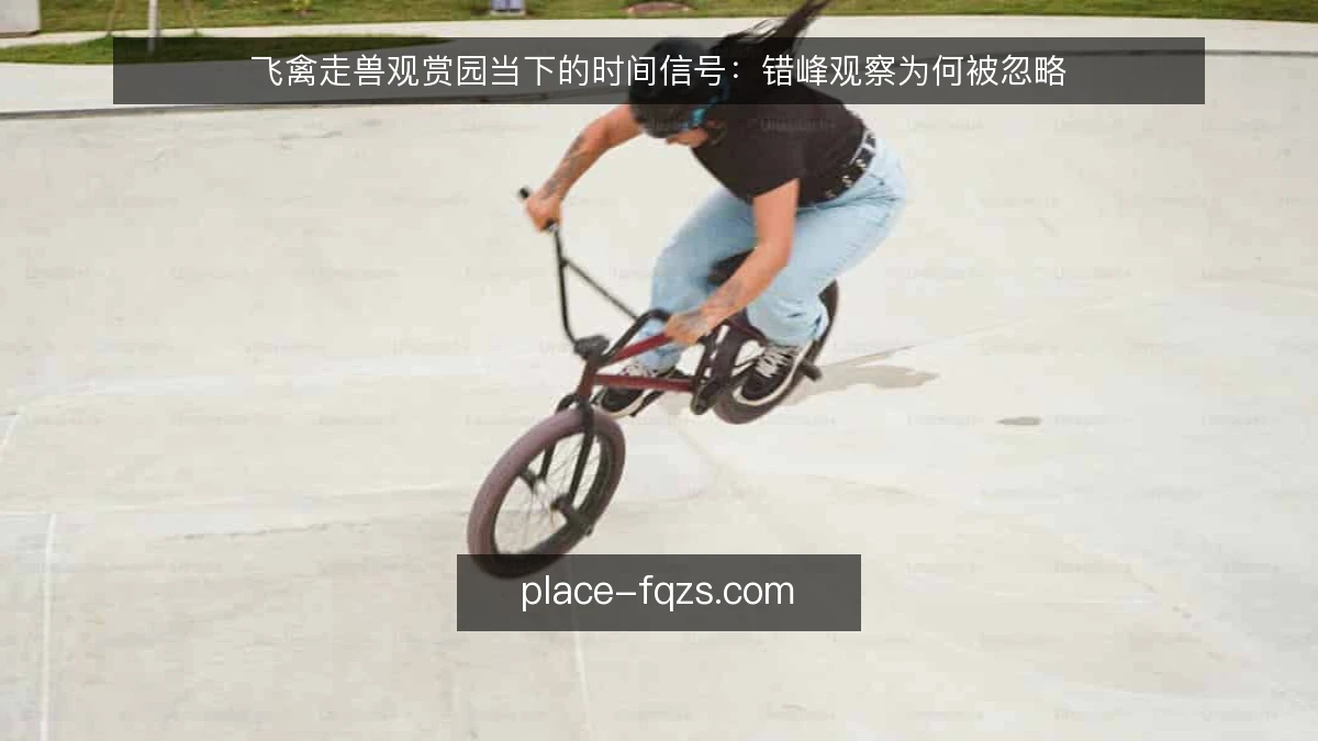 飞禽走兽观赏园当下的时间信号:错峰观察为何被忽略