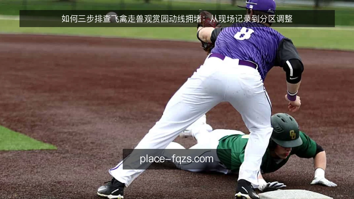 如何三步排查飞禽走兽观赏园动线拥堵:从现场记录到分区调整