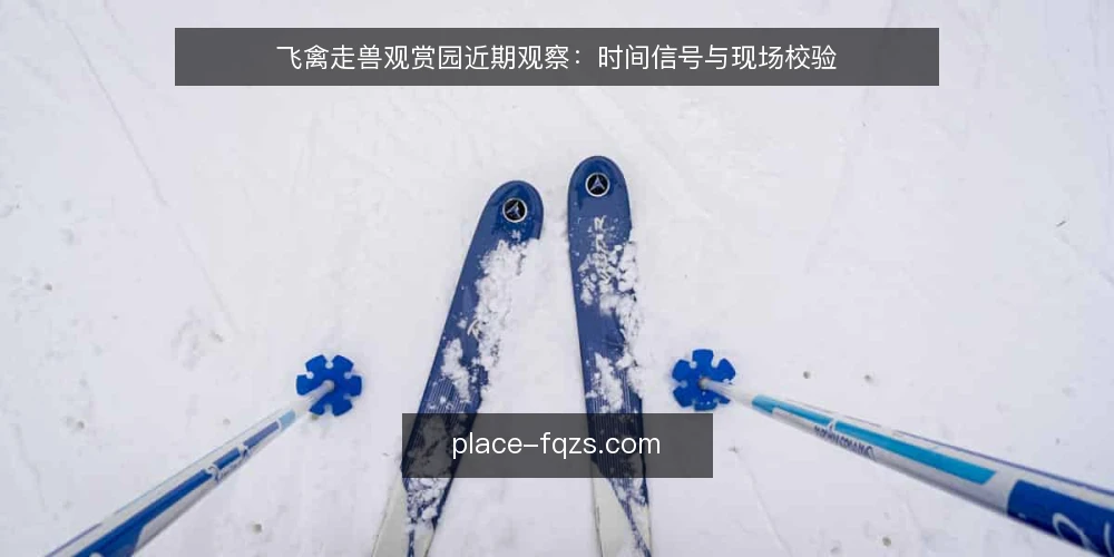 飞禽走兽观赏园近期观察：时间信号与现场校验 — 当前要盯的时间信号 配图