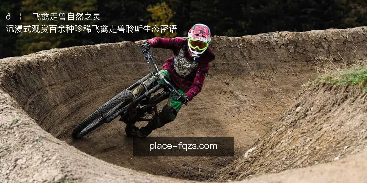 飞禽走兽